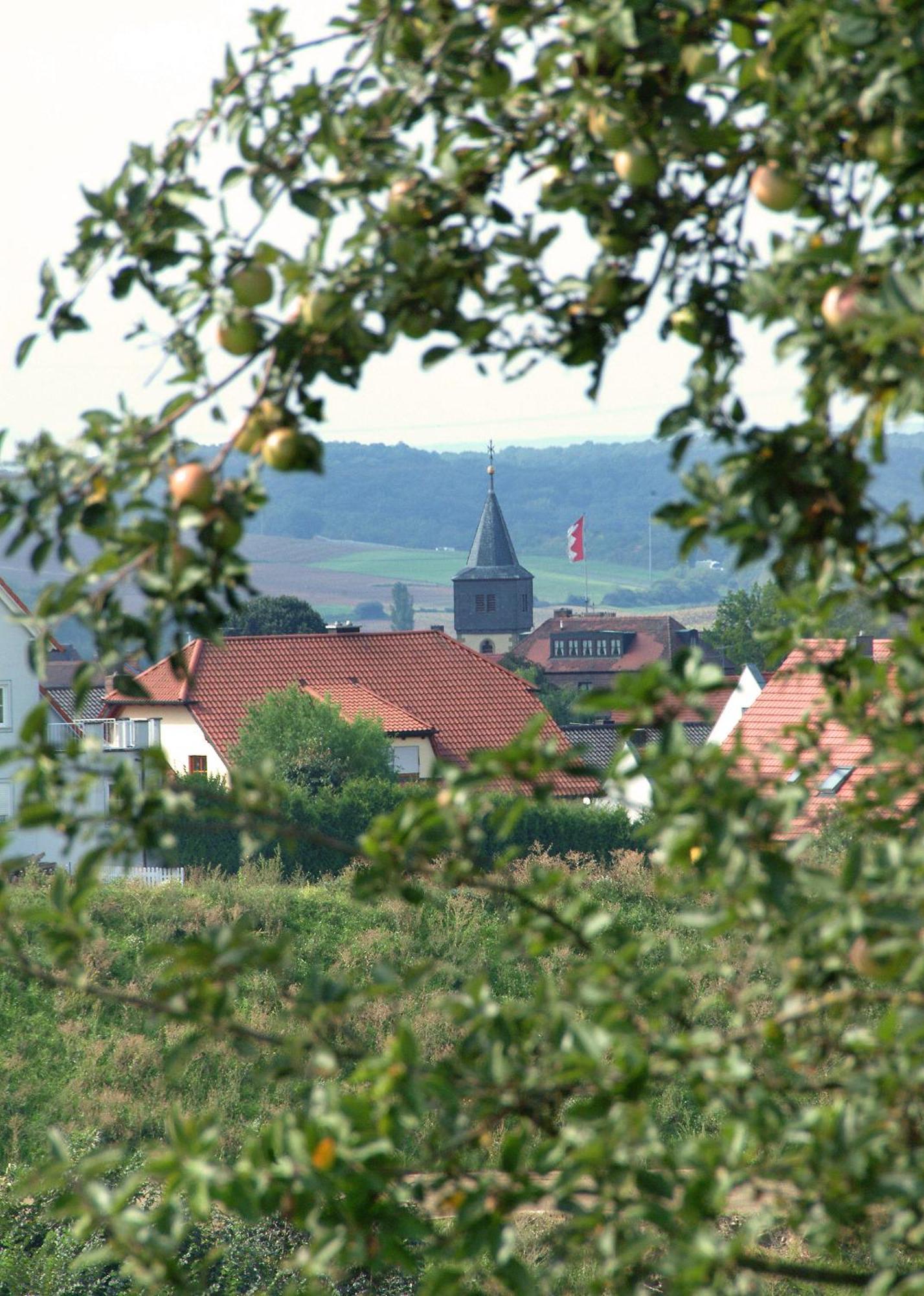 Hotel Leicht Biebelried Экстерьер фото