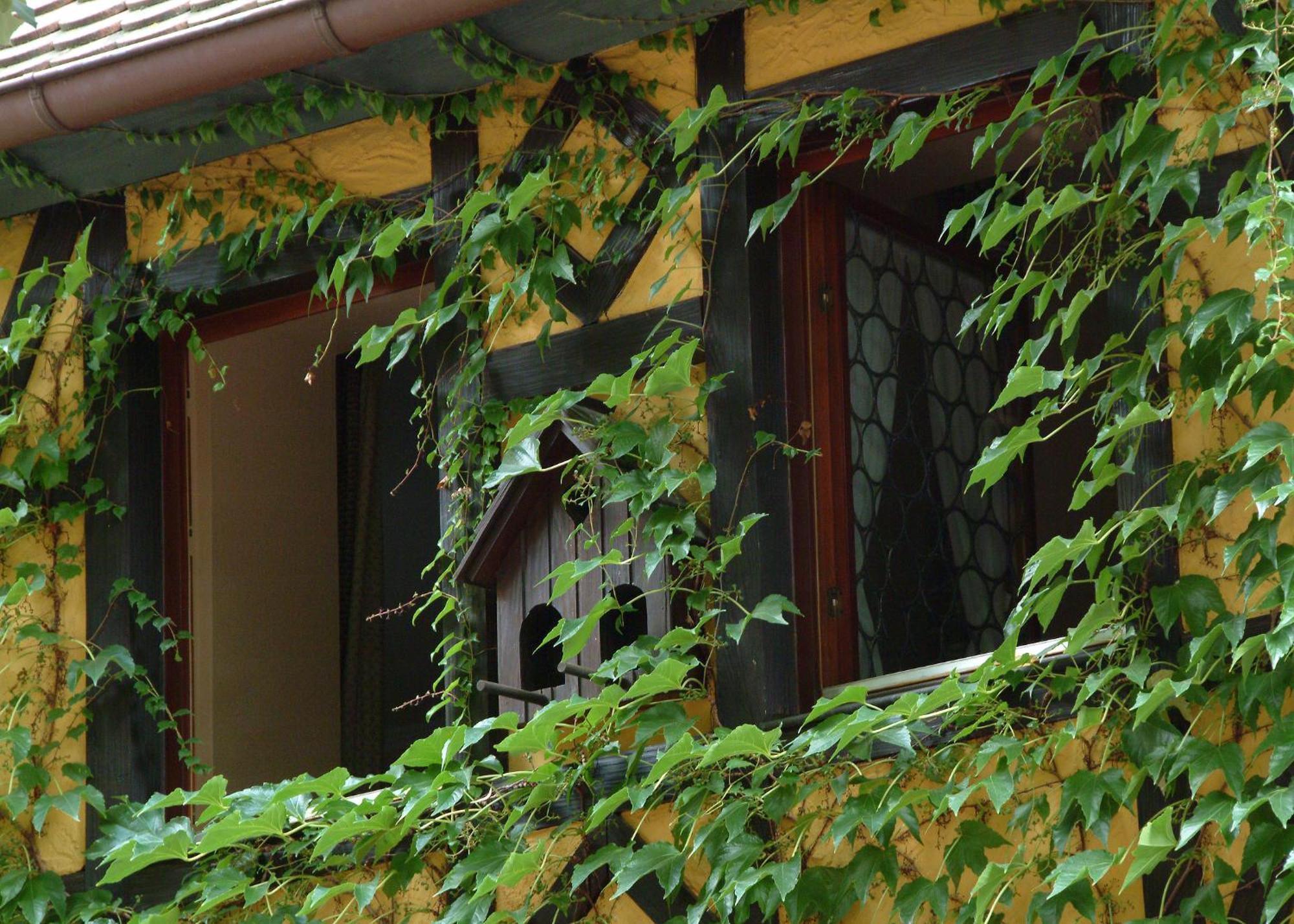 Hotel Leicht Biebelried Экстерьер фото